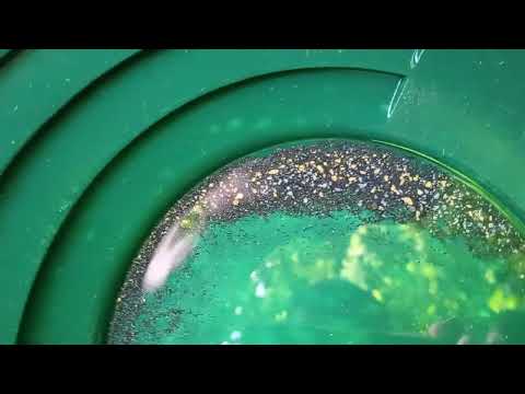 Видео: Извадих 1,3 грама злато за един ден!/I mined 1.3 grams of gold in one day