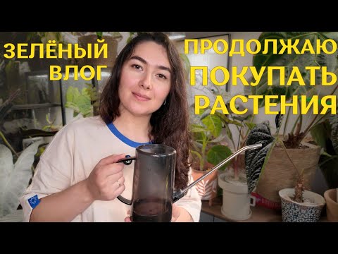 Видео: умудрилась КУПИТЬ РАСТЕНИЯ не выходя из ДОМА | распаковываю, ПЕРЕСАЖИВАЮ новинки |УЮТНЫЙ ДЕНЬ ухода🪴