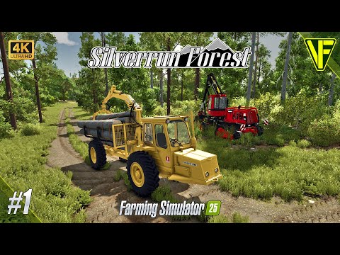 Видео: Создание новой лесозаготовительной империи | Лес Сильверран №1 (Farming Simulator 25: Лесная пятн...