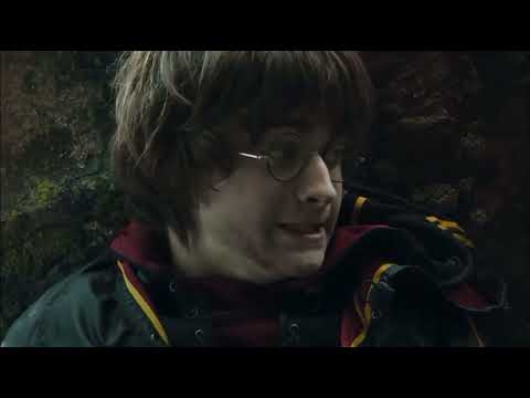 Видео: «Я сошла с ума» („All the things she said”) — tomarry (harrymort)