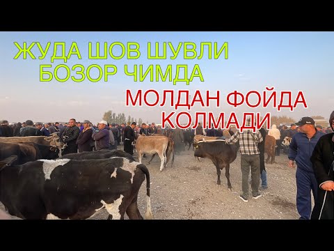 Видео: КАМАШИ ЧИМ МОЛ БОЗОРИ НАРХЛАРИ 2025-ЙИЛ 25-ОКТАБР! QAMASHI CHIM MOL BOZORI NARXLARI 25-OKTABR!