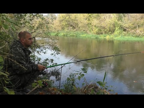 Видео: ОСЕННЯЯ РЫБАЛКА НА ПОПЛАВОК и донку в октябре на реке.