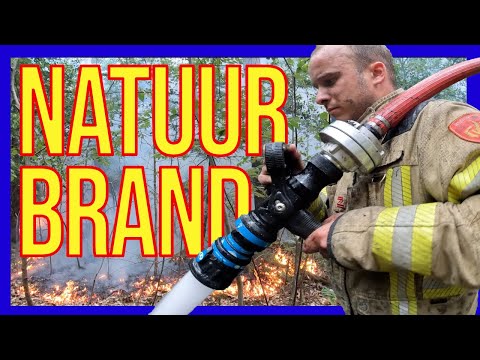 Видео: Wildfire - ДОБРОВОЛЬЦЫ ГОЛЛАНДСКИЕ ПОЖАРНЫЕ -