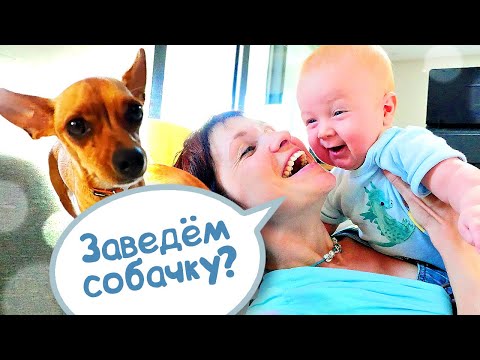Видео: Маша Капуки и Карл в гостях – Домашние животные и Рум тур в Турции - Влог мамы
