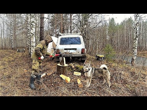 Видео: ''В ЛЕС С НОЧЁВКОЙ'' К ПАЛАТКЕ ПРИШЁЛ ЗВЕРЬ! ''ИЩУ МЕТАЛЛ ГДЕ БЫЛА ДЕРЕВНЯ'' ЗАКИДЫВАЮ ДОНКИ!