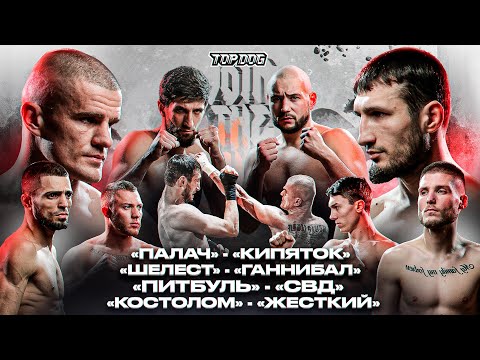 Видео: Шелест – Ганнибал, Палач – Кипяток, Костолом – Жесткий, Питбуль - СВД | TOP DOG  18