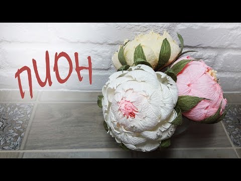 Видео: Пион из гофрированной бумаги / DIY