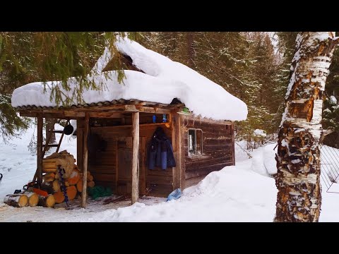 Видео: Живу Один в Лесу! Таёжные Избы. Рыбалка на Щуку и Хариуса.