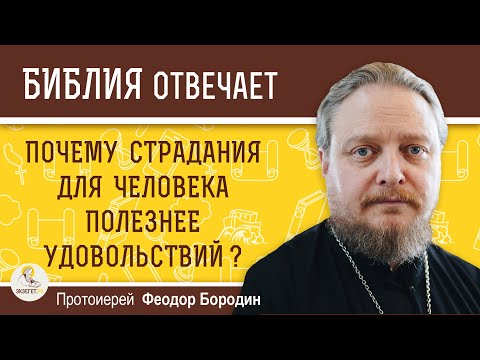 Видео: Почему страдания для человека полезнее удовольствий ? Протоиерей Феодор Бородин