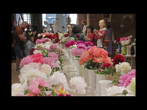 Видео: Виставка півоній (Peony Exhibition)