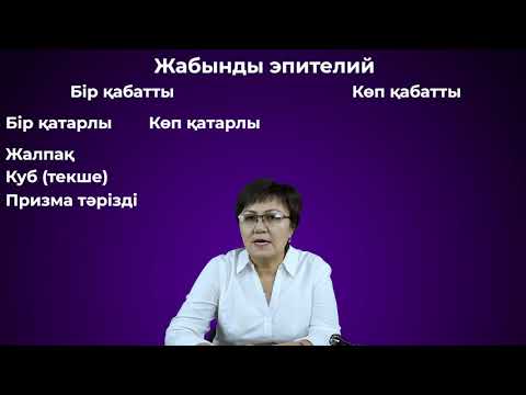 Видео: Эпителий тінінің түрлері. Бір қабатты эпителий. Ерғазина Марал Жүнісбекқызы