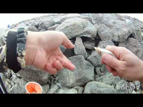 Видео: Рыбалка в СПб 2023г на поплавок в дамбе.