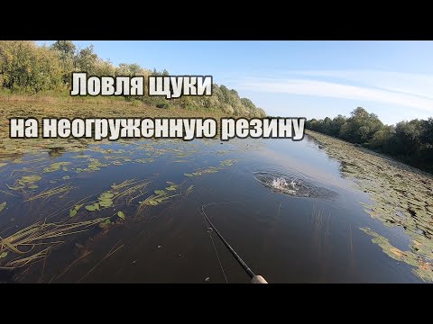 Видео: Щука на неогруженную резину! Рыбалка на спиннинг на малой речке!