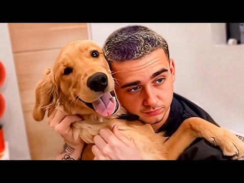 Видео: Лейси воссоединяется с Майло!