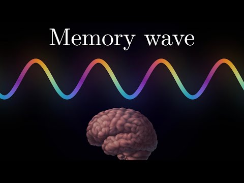 Видео: Тета-ритм: часы памяти