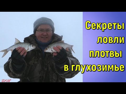 Видео: Секреты ловли плотвы в глухозимье