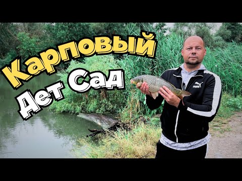 Видео: Турунчук, Карповый Дет Сад. Небольшой Карп и куча мелкого Карпа. #fishing #рыбалка #carpfishing