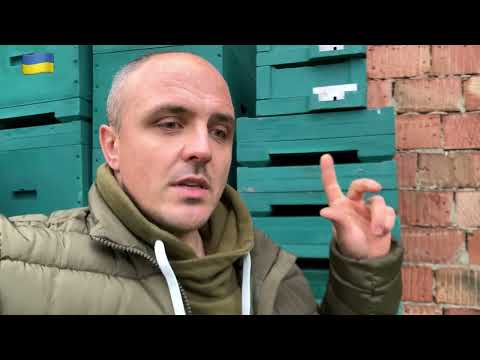 Видео: Фарбування вуликів.