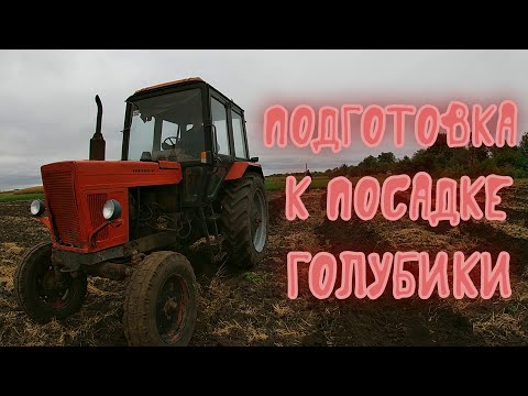 Видео: Готовим ямы под ГОЛУБИКУ! Катаемся на мини тракторе, разбираем стены, проблемы с доставкой торфа.