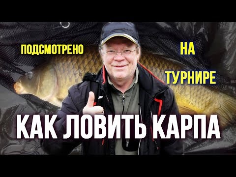 Видео: Как ловить карпа Турнир Секреты и практические советы от мастеров ловли #1