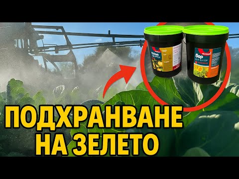 Видео: Ето с какво пръскаме