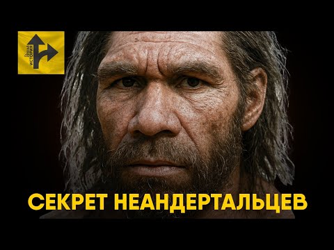 Видео: Неандертальцы - Загадка вымирания.