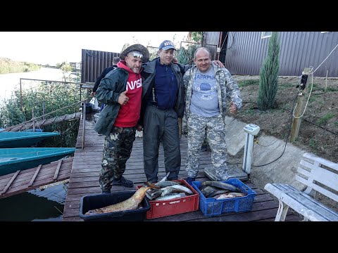 Видео: Удивительная рыбалка на волжских раскатах. База "Щукарь".