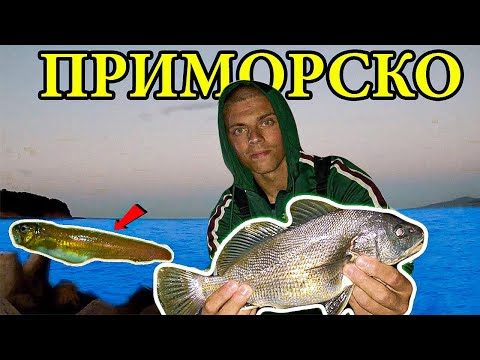Видео: СПИНИНГ РИБОЛОВ на ЧЕРНО МОРЕ.  ВРАНА ЗАПАЛИ АВАНСА!