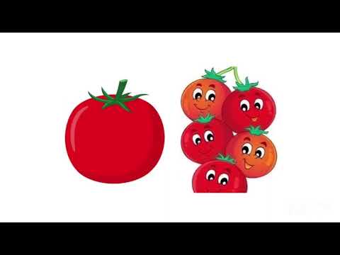 Видео: 5 ноября 2025 г.