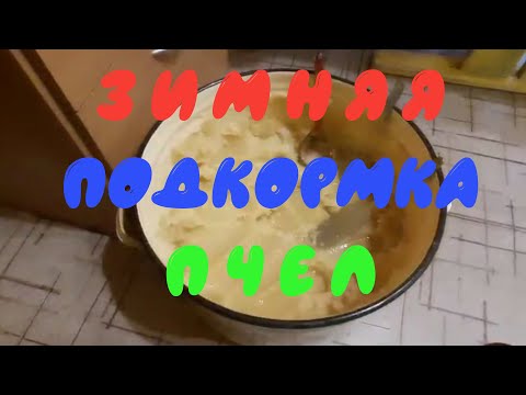 Видео: Чем лучше всего подкормить пчел зимой