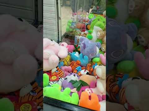 Видео: Мишка огонь🔥Буду бороться за него
