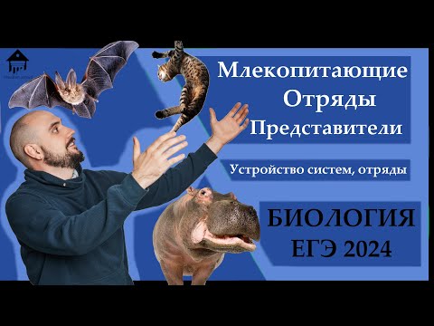 Видео: Класс МЛЕКОПИТАЮЩИЕ для ЕГЭ 2024 |ЕГЭ БИОЛОГИЯ|Freedom|