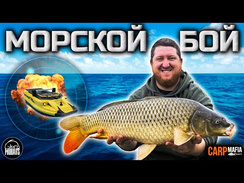 Видео: «Морской Бой». Турнир по карпфишингу.