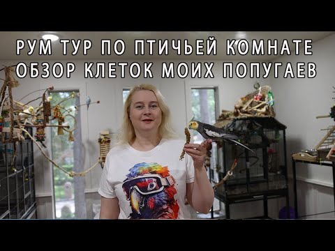 Видео: РУМ ТУР ПО ПТИЧЬЕЙ КОМНАТЕ | КАК ВЫБРАТЬ ПРАВИЛЬНУЮ КЛЕТКУ ДЛЯ ПОПУГАЯ | ОБЗОР КЛЕТОК ДЛЯ ПОПУГАЕВ