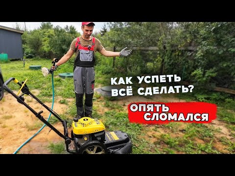 Видео: УСПЕТЬ СДЕЛАТЬ все ДЕЛА / Вилы шоу 2