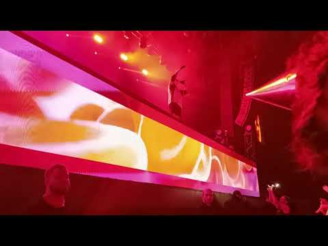 Видео: DK - Откуда вылез (07.11.2023)