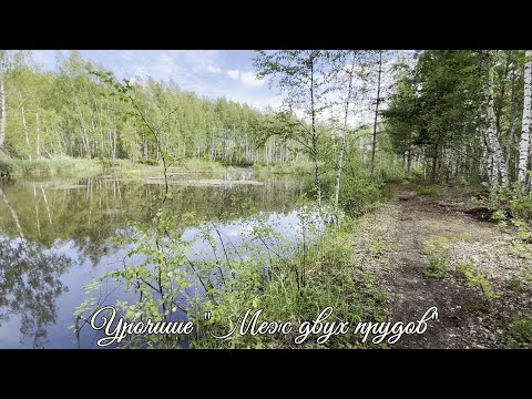 Видео: ✅ Урочище "Меж двух прудов" (4К)