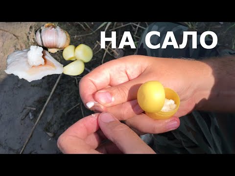 Видео: ОТСЕЧЕТ ли САЛО мелочь??? Рыбалка на Реке! Ловля на сало летом