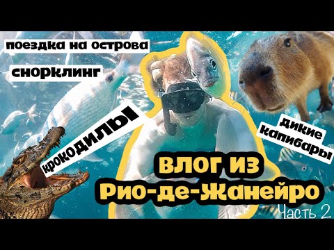 Видео: 4. Схватка с диким крокодилом в Рио-де-Жанейро? Плавучий ресторан! Острова Бразилии и дикие капибары