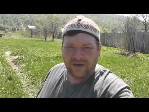 Видео: Мотоблок Нева Замена двигателя