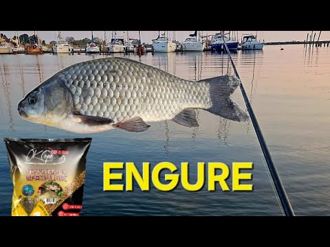 Видео: ловля карася на поплавок - (Engure) OK COPE SPORT GROUNDBAITS Special mix - Tench Sweet Marzipan !!!