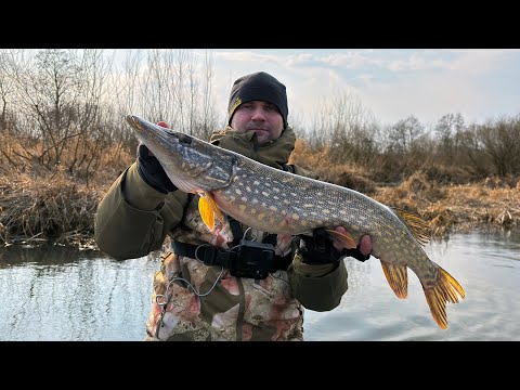Видео: Рыбалка на спиннинг | Открытие лодочного сезона 2025