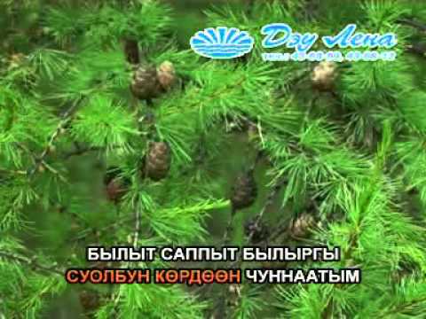 Видео: Сахалыы караоке 5 17