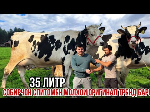 Видео: Молхои шири тоззаш Собирчон Спитомен 5 октября 2025 г.