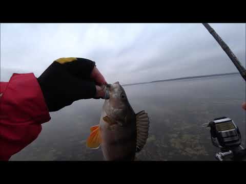 Видео: Crazy Fish Arion 862-mls.Тестировал лайтик дальнобой и потерпел неудачу...