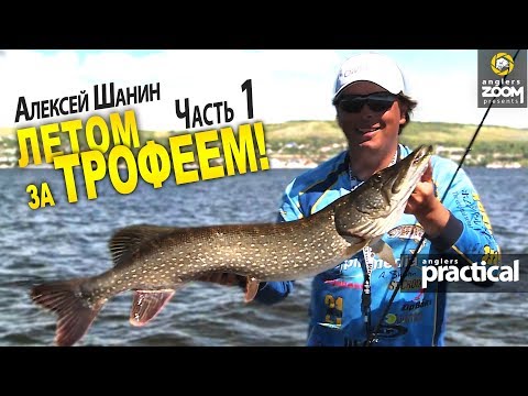 Видео: Летом за трофеем! Часть 1. Ловля щуки на Волге. Алексей Шанин. Anglers Practical