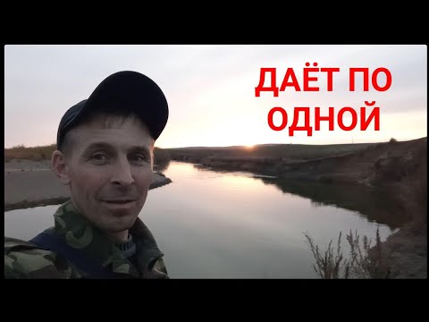 Видео: Нура. Рыбалка на налима.