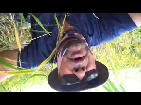 Видео: Рыбалка новинки наконец взял трофейную рыбу этого сезона#рыбалка #fishing #2025 