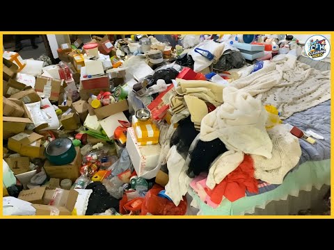 Видео: 😱 САМАЯ БОЛЬШАЯ чистка от накопителей — 10 лет хаоса наконец-то восстановлены!