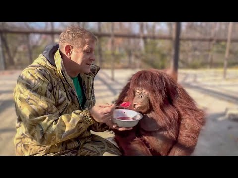 Видео: Дана продолжает ЛЕЧИТЬ Олега Зубкова и за это получает вкусный борщ!